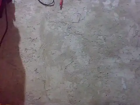 Beatrice143 online show from 6, 2, 2026