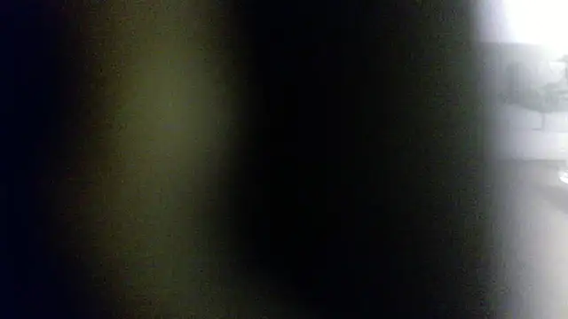 Snapshot of palidin1 chatting on 1, 2, 2026 palidin1 online show from 1, 2, 2026