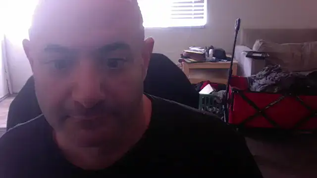 palidin1 online show from 24, 11, 2025