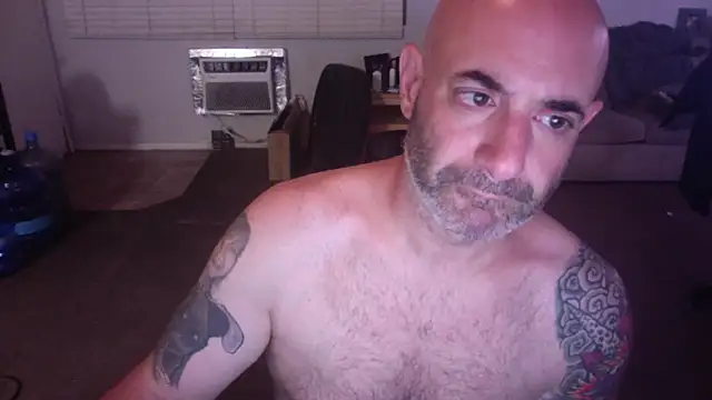 Snapshot of palidin1 chatting on 22, 4, 2026 palidin1 online show from 22, 4, 2026