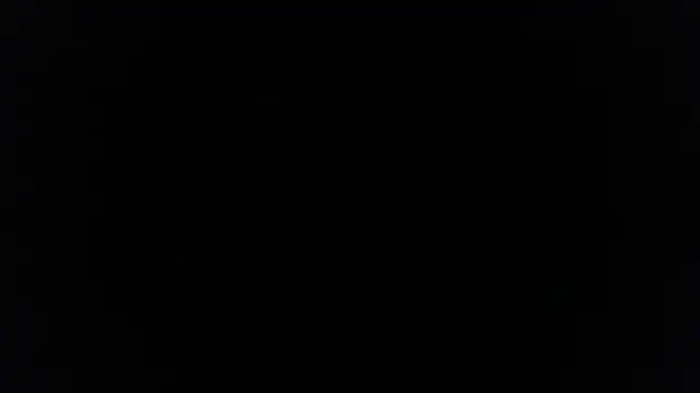 Snapshot of palidin1 chatting on 5, 12, 2025 palidin1 online show from 5, 12, 2025