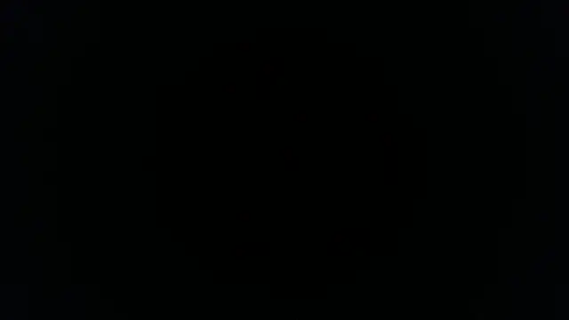 palidin1 online show from 26, 11, 2025