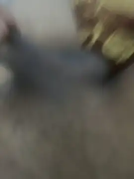 HHHHHxxn online show from 24, 3, 2026