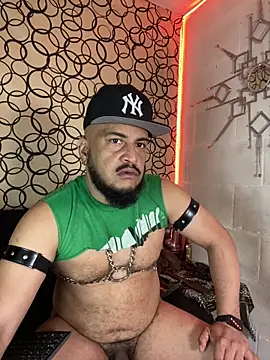 the master foal  online show from 27, 2, 2026