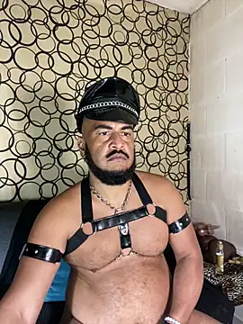 the master foal  online show from 31, 3, 2026