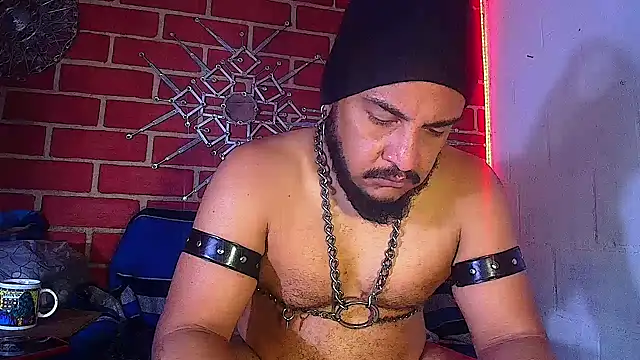 the master foal  online show from 20, 3, 2025