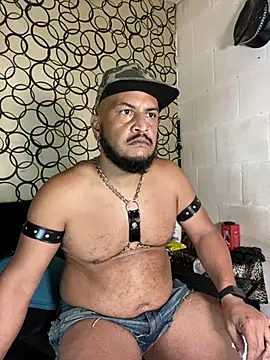 the master foal  online show from 11, 4, 2026