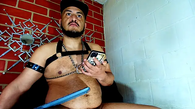 the master foal  online show from 29, 10, 2025