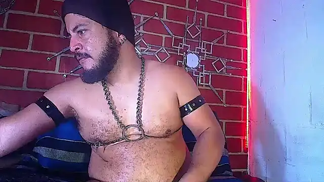 the master foal  online show from 22, 3, 2025