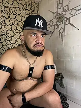 the master foal  online show from 13, 3, 2026