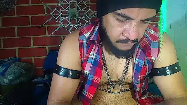 the master foal  online show from 18, 3, 2025