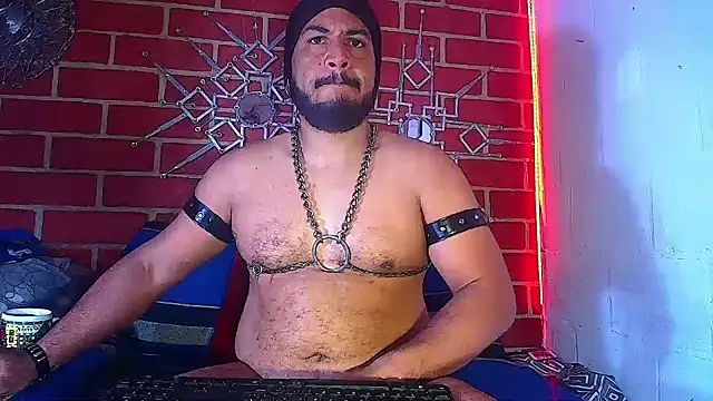 the master foal  online show from 19, 3, 2025