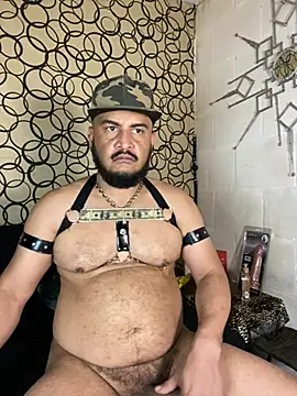 the master foal  online show from 17, 3, 2026