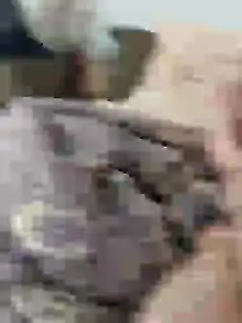 Snapshot of Yaramaz331 chatting on 11, 3, 2025 Yaramaz331 online show from 11, 3, 2025