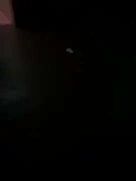 MALEHYPER online show from 2, 12, 2025