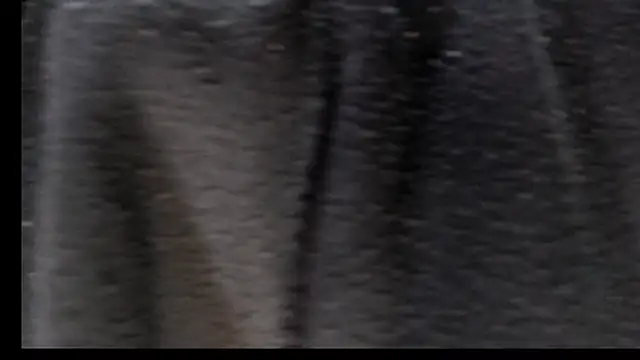 Justin Frank online show from 22, 2, 2026