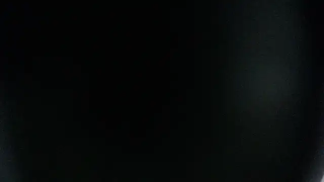 evelyn  salah online show from 11, 3, 2026