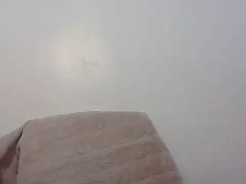 wild amber25 online show from 29, 11, 2025