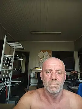 wilkalfa online show from 29, 6, 2026