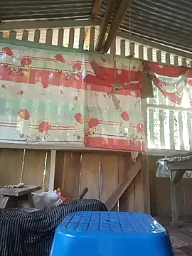 Efrain2090 online show from 19, 2, 2025