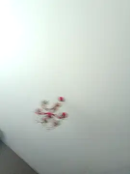 ClubbyEuphory online show from 5, 2, 2026