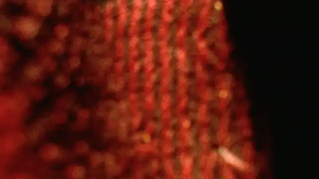 rockhead1971 online show from 18, 10, 2025