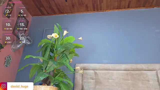 nicol snow online show from 15, 1, 2026