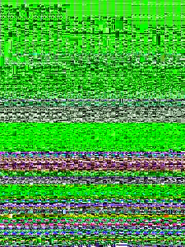 Snapshot of ForroCucc chatting on 3, 10, 2025 ForroCucc online show from 3, 10, 2025