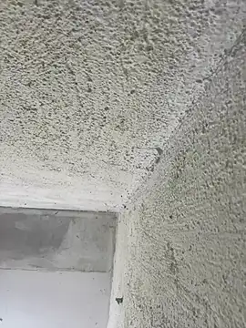 MarieLoveGlamorous online show from 26, 2, 2025