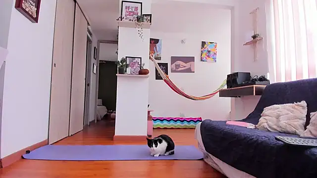 karlye 5 online show from 17, 11, 2025