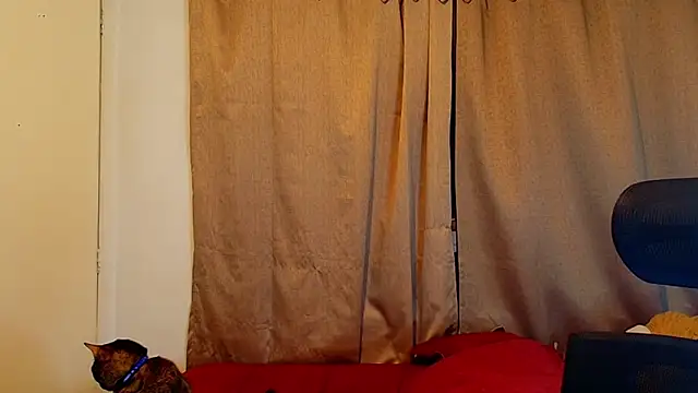 jimmy class online show from 16, 10, 2025