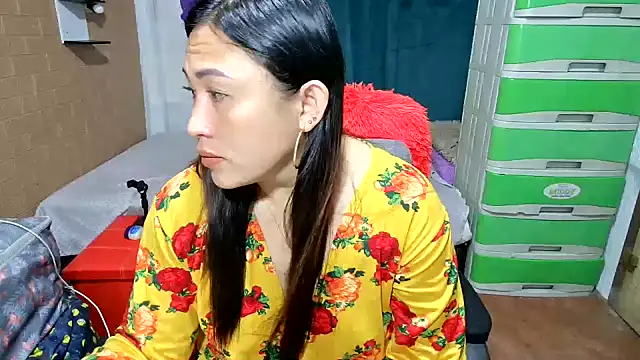 M e c e l online show from 6, 3, 2026