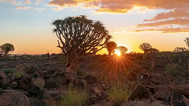 HannaMoom online show from 28, 10, 2025