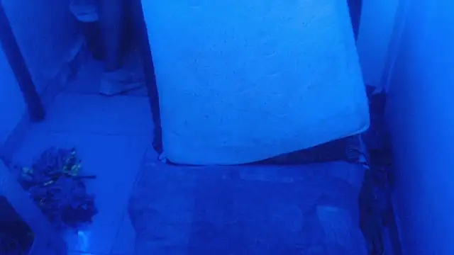 Snapshot of selenax2023 chatting on 2, 2, 2026 selenax2023 online show from 2, 2, 2026