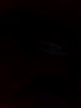 juandi21cm online show from 11, 1, 2026