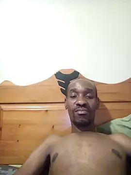 Dibobo4 online show from 9, 2, 2026