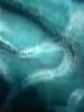 Jeck leo online show from 12, 2, 2025