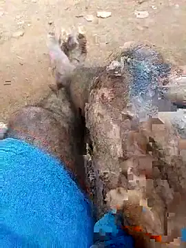 Royalk2030 online show from 28, 2, 2026