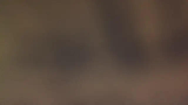 leccaleccafiga online show from 12, 3, 2026