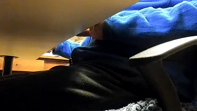 leccaleccafiga online show from 2, 11, 2025