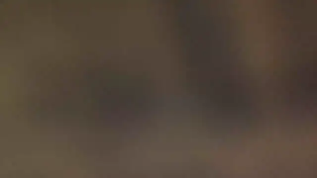 leccaleccafiga online show from 10, 3, 2026