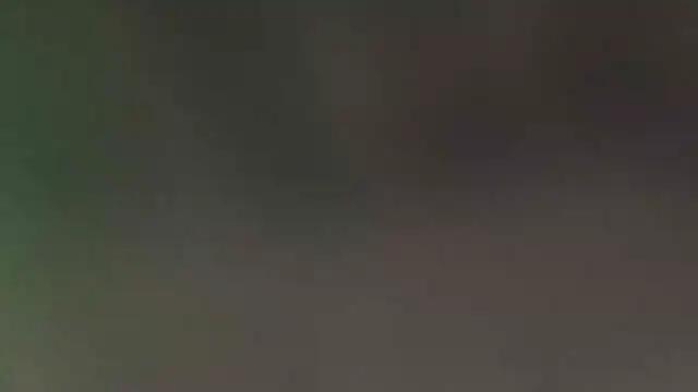 leccaleccafiga online show from 24, 4, 2026