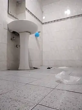 landy20cm online show from 28, 2, 2026