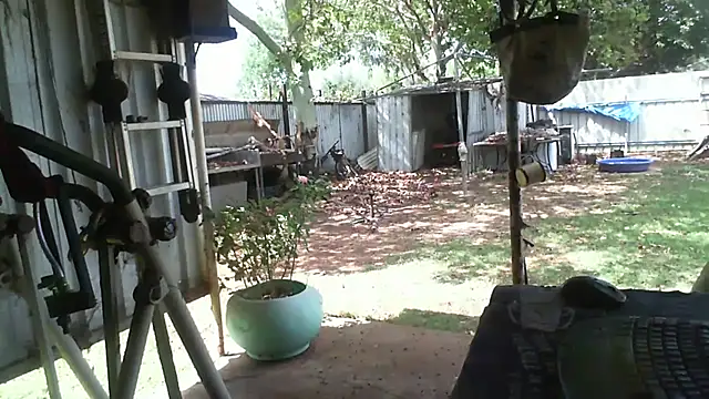 herbie010666 online show from 14, 11, 2025