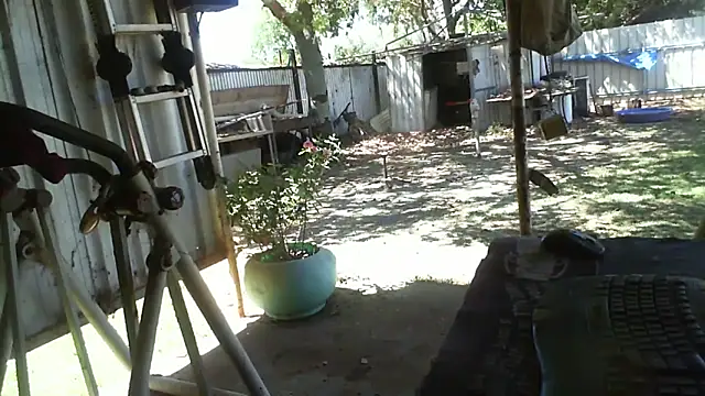 herbie010666 online show from 30, 10, 2025