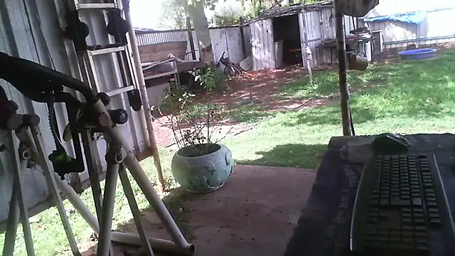 herbie010666 online show from 15, 12, 2025