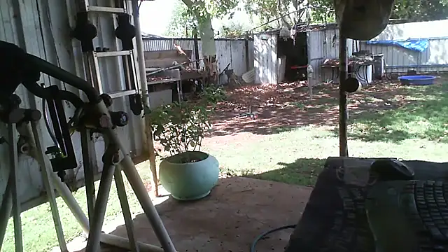 herbie010666 online show from 20, 11, 2025