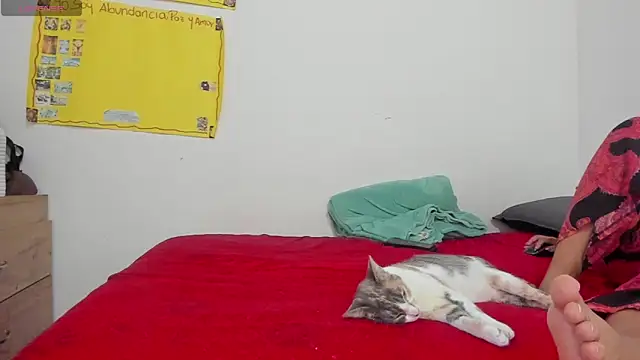 Hela wet online show from 24, 11, 2025