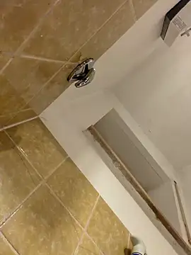 wetgerman 2 online show from 8, 3, 2026