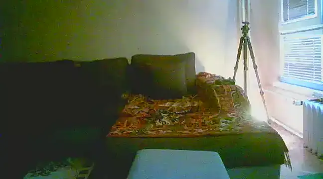 Snapshot of Power_Art chatting on 13, 1, 2025 Power Art online show from 13, 1, 2025